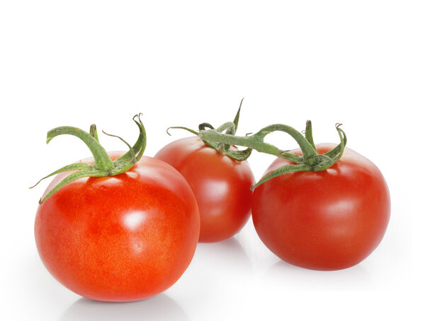 Red tomatoes