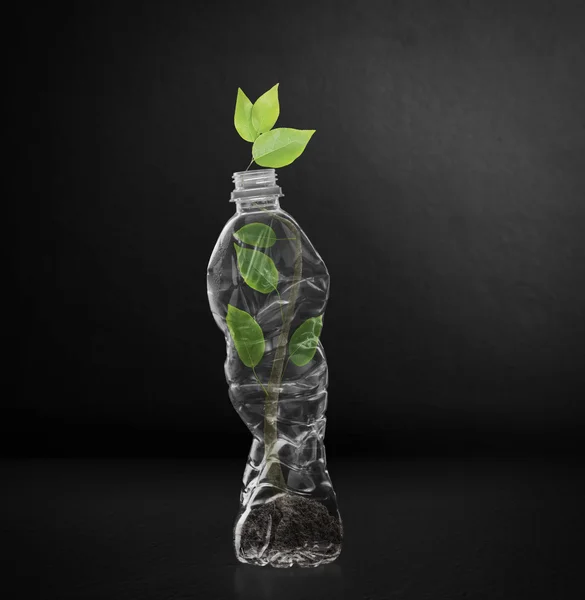 Polycarbonat-Plastikflaschen aus Mineralstoffrecycling — Stockfoto