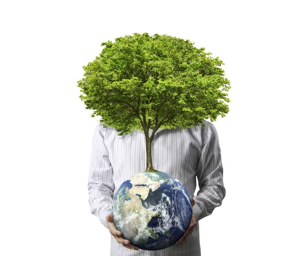 Terra globo e árvore em sua mão — Fotografia de Stock