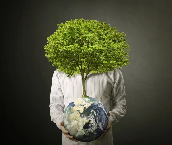 Globo terrestre y árbol en su mano — Foto de Stock