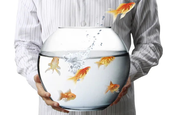 Business man flying goldfishes from — Stock Photo, Image