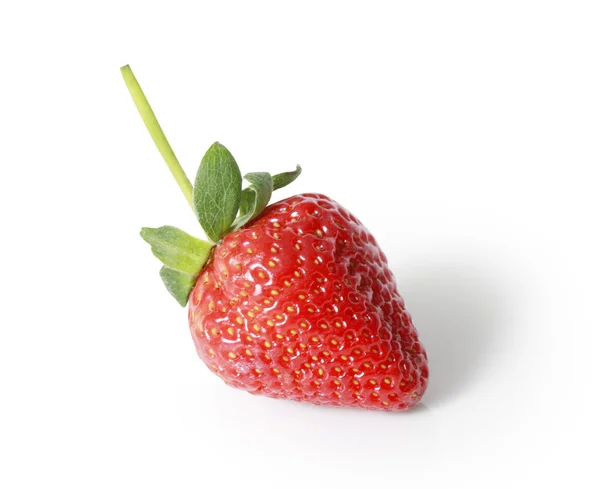 Belles fraises — Photo
