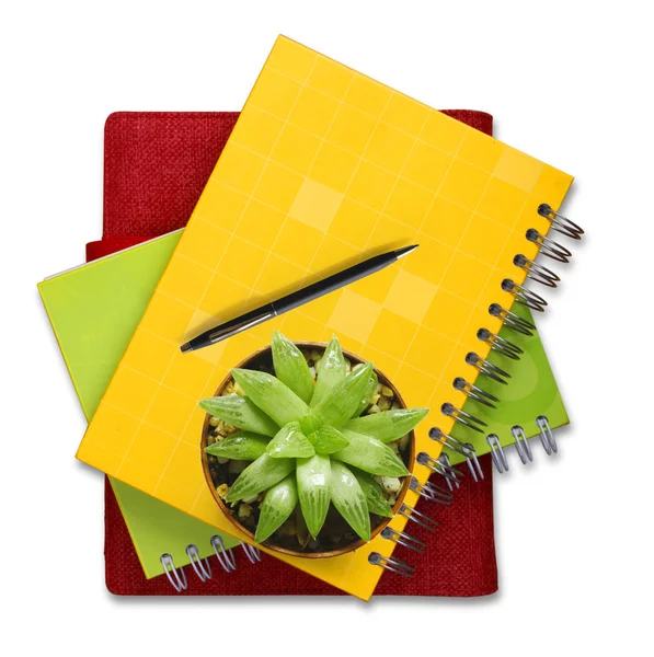 Top view of a Cactus on Booklet — Stock Photo, Image