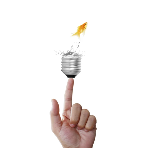 Light bulb, on hand — Stock Photo, Image