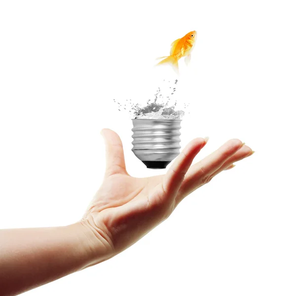 Light bulb, on hand — Stock Photo, Image