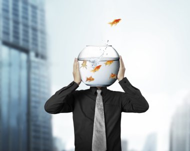 birinden diğerine goldfishes uçan