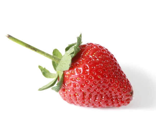 Vackra jordgubbar — Stockfoto