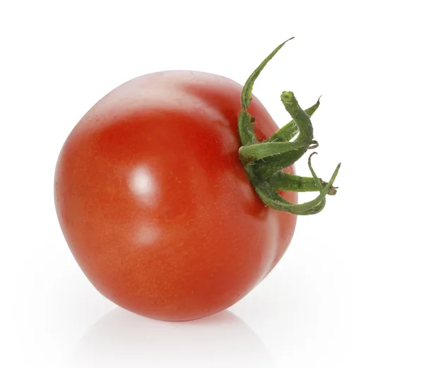 Red tomatoes — Stock Photo, Image