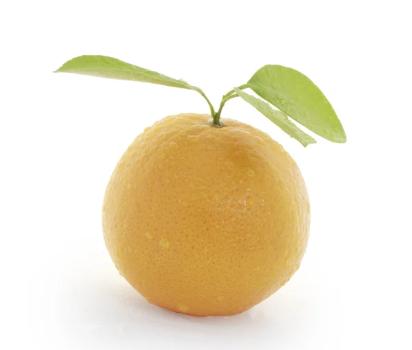 Orange fruit — Stock Photo, Image