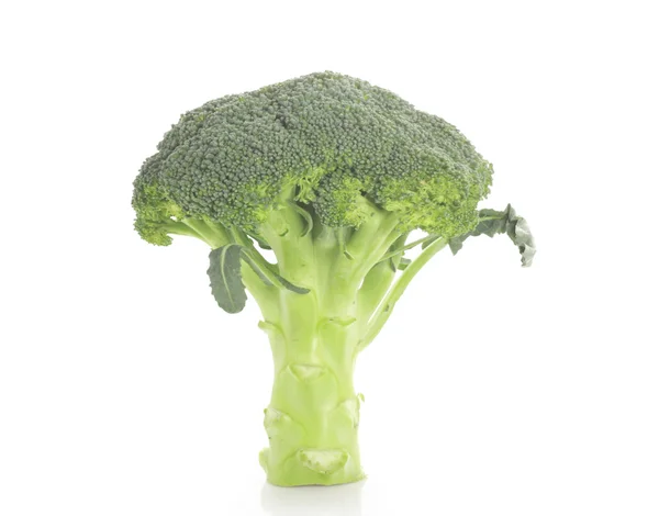 Broccoli isolerade — Stockfoto