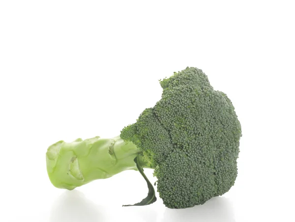 Brocoli isolé — Photo