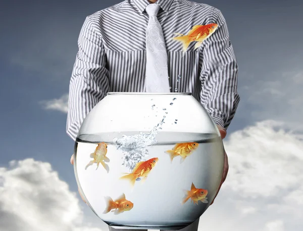Business man and flying goldfishes — Stock Photo, Image