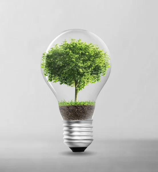 Gloeilamp alternatieve energieconcept — Stockfoto