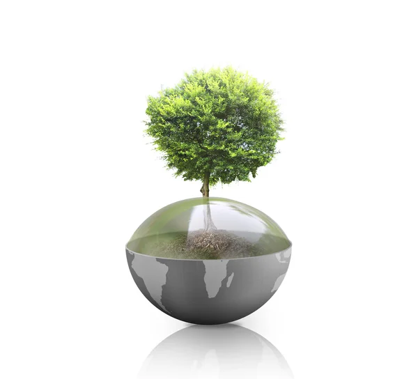 Green plant on Earth,globe — Stock Photo, Image