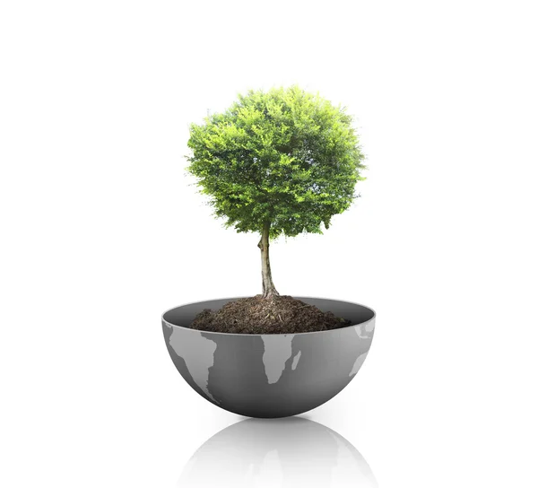 Grön växt på jorden, globe — Stockfoto