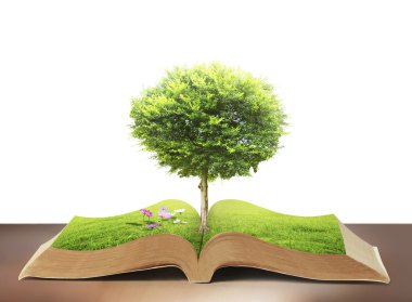 ot ve ağaç doğa kitabı 