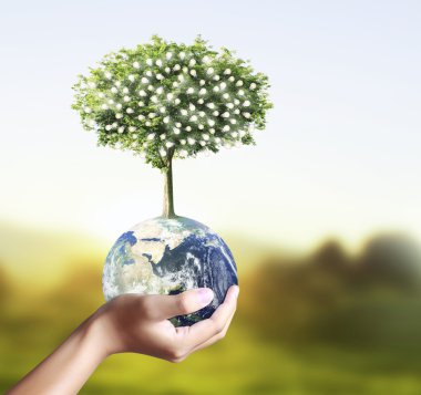 parlayan earth (nasa) globe ve ağaç elinde tutan