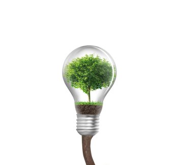 ampule alternatif enerji kavramı 