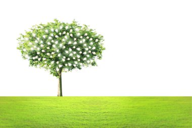 ampule alternatif enerji kavramı 
