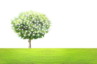 ampule alternatif enerji kavramı 