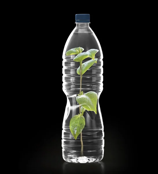 Полікарбонатні пластикові пляшки переробки мінералів — стокове фото