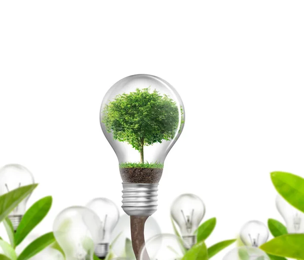 Light bulb Alternative energy concept — Stock Photo, Image