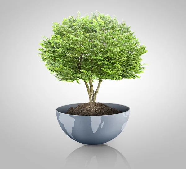 Green plant on the Earth,globe — Stock Photo, Image