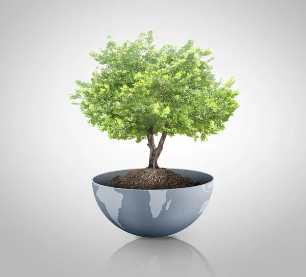Зеленое растение на Земле, земной шар — стоковое фото