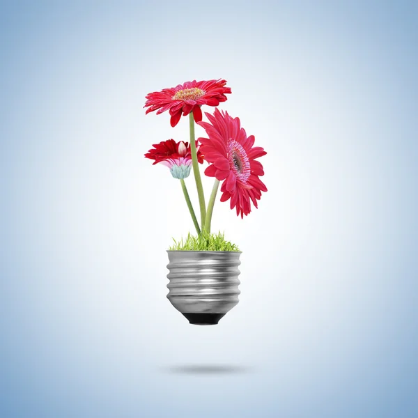 Light bulb Alternative energy concept — Stock Photo, Image