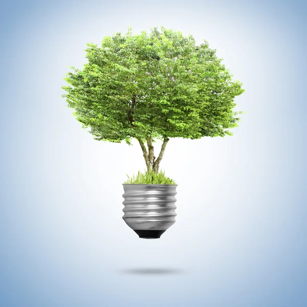 Light bulb Alternative energy concept — Stock Photo, Image