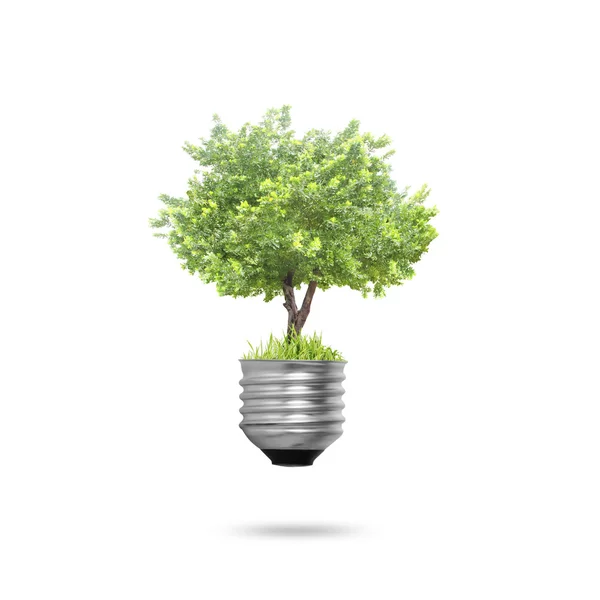 Gloeilamp alternatieve energieconcept — Stockfoto