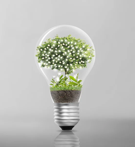 Light bulb Alternative energy concept — Stock Photo, Image