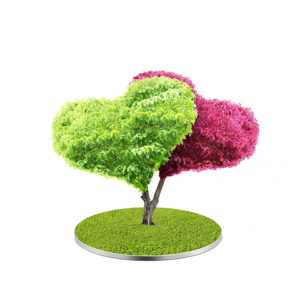 Tree in shape of heart — Stock Photo, Image