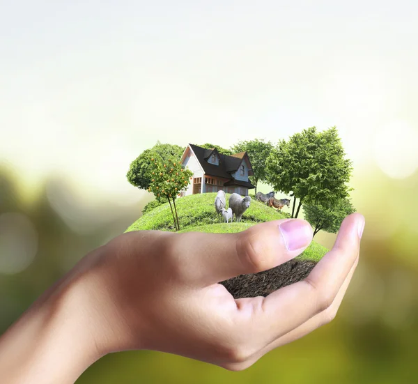 Huis in menselijke handen — Stockfoto