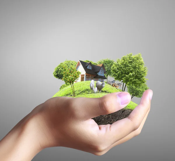 House in human hands — Stock Photo, Image