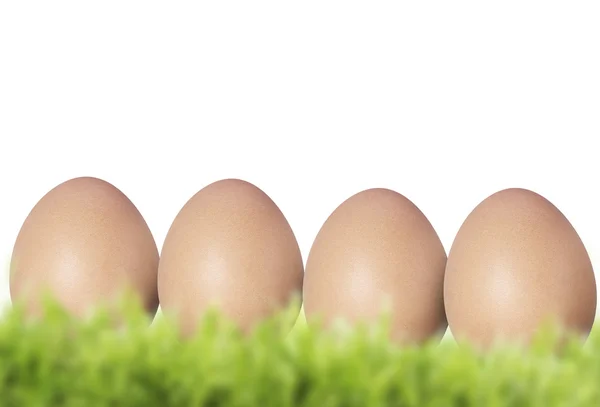 Fresh eggs — Stock Photo, Image