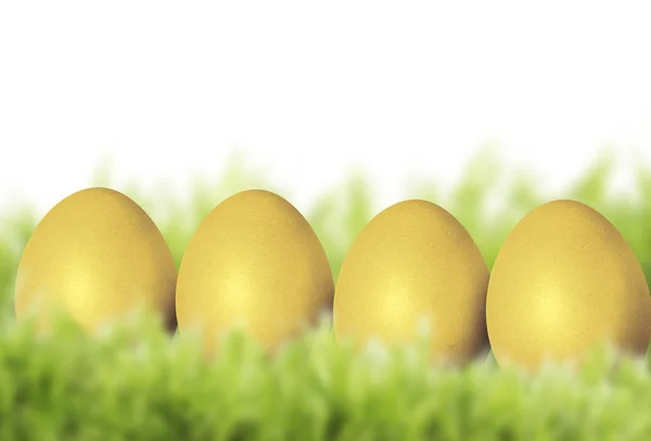 Fresh eggs — Stock Photo, Image