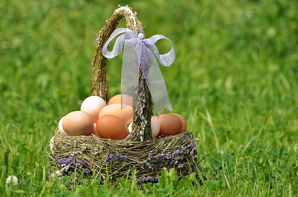 Easter basket with eggs — Stock Photo, Image