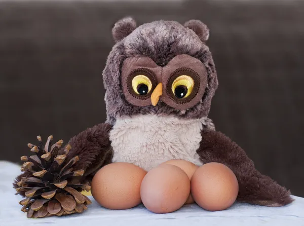 Toy an owl nests with eggs — Stock Photo, Image