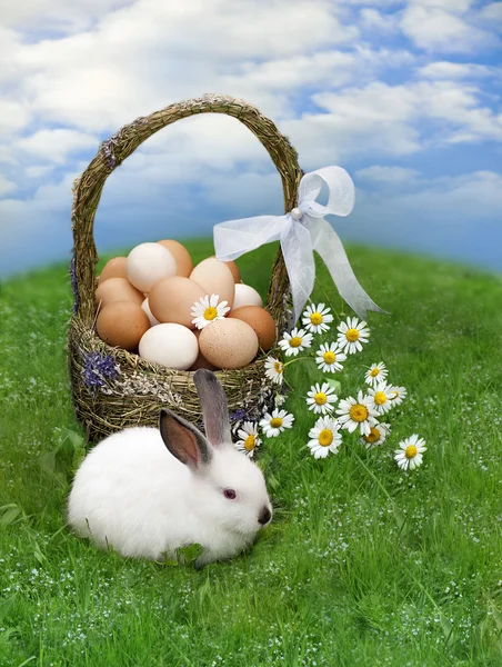 Easter basket and the Easter bunny — Stock Photo, Image