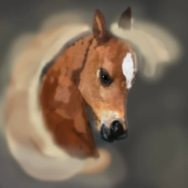 Мальований портрет коня — стокове фото