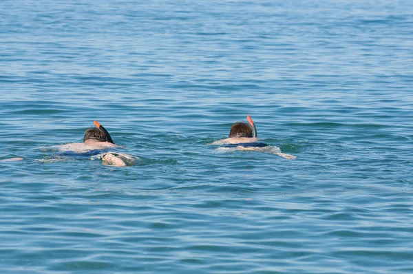 海で泳いでいる男性 2 人 — ストック写真