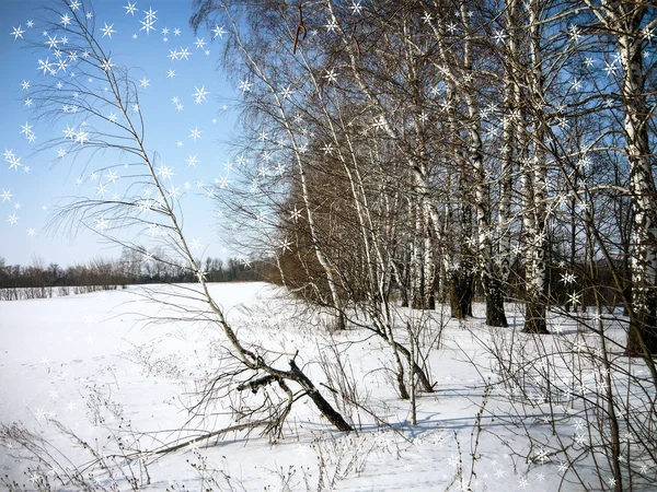 Paesaggio invernale — Foto Stock