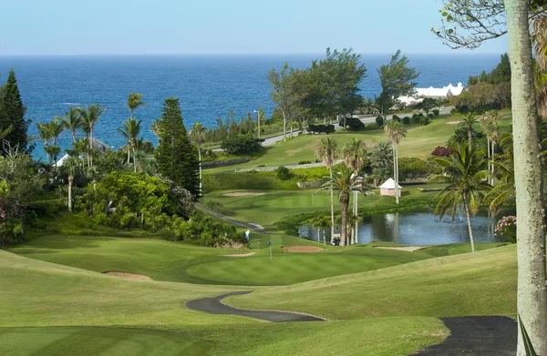 Yeşil golf sahasında bermuda