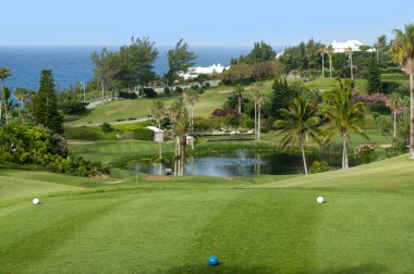 Yeşil golf sahasında bermuda