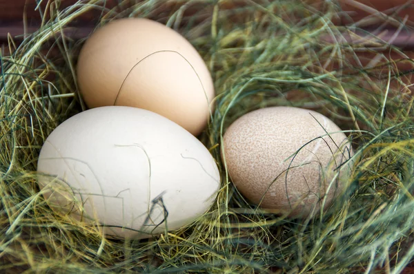 Eier am Heunest in Hühnerfarm — Stockfoto