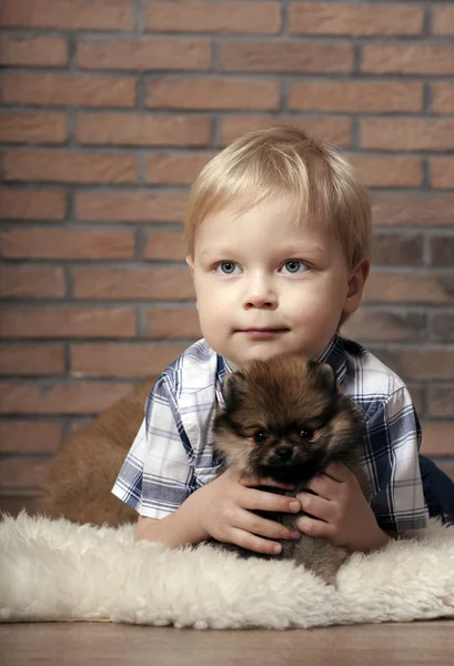 子犬を持つ少年. — ストック写真