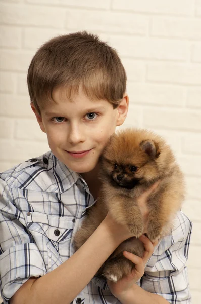 子犬を持つ少年. — ストック写真