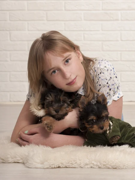 Beautiful girl and two dogs — Stock Photo, Image