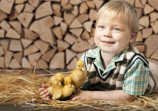 Chłopiec i trzy małe żółte Kaczątka — Zdjęcie stockowe
